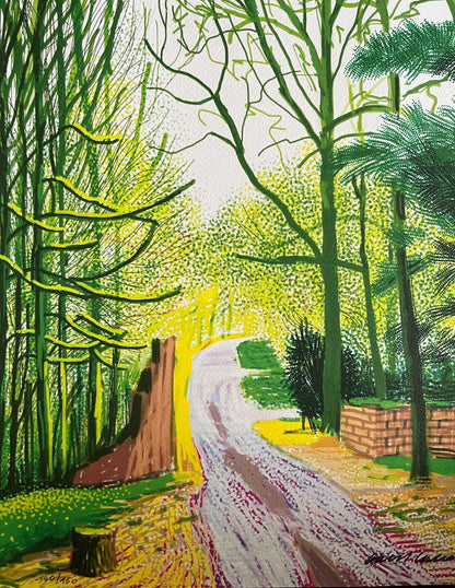 David Hockney Lithograph Coa Signed Op Numbered
