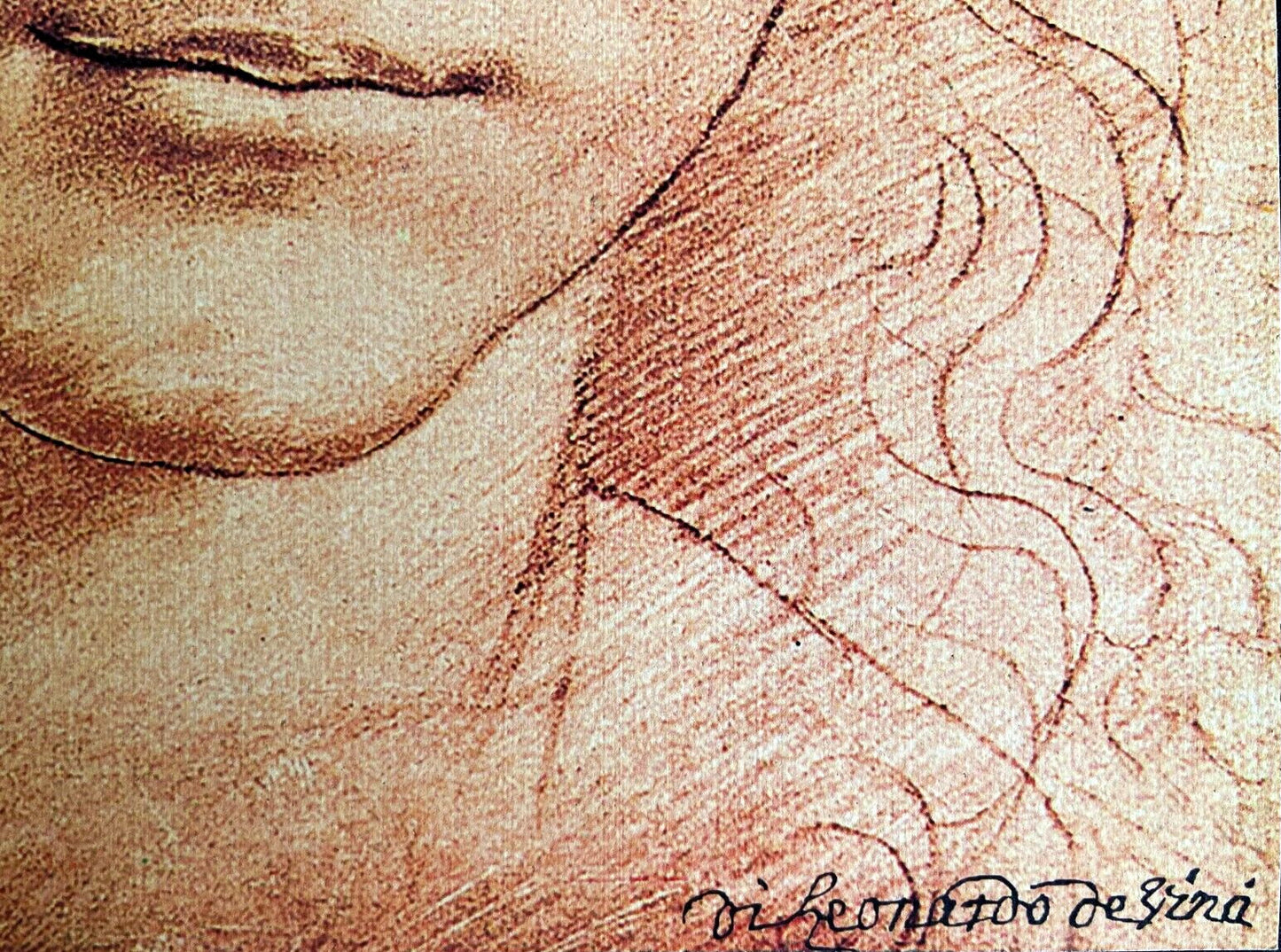 Leonardo Da Vinci Lithograph From An Signed Numbered Coa