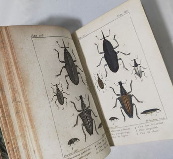 Tigny Histoire Naturelle Des Insectes Vol 8 Paris 1813 Handcolored Plates Rare