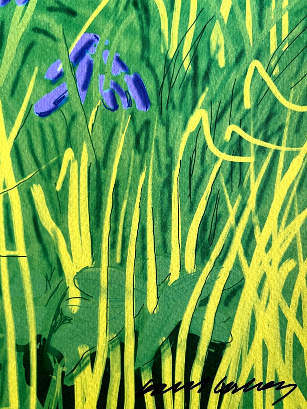 David Hockney Lithograph Handmade Coa Signed Op Numbered Limited &