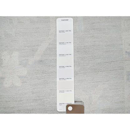 9'8"X13'10" Misty Gray White Wash Peshawar Hand Knotted Pure Wool Rug