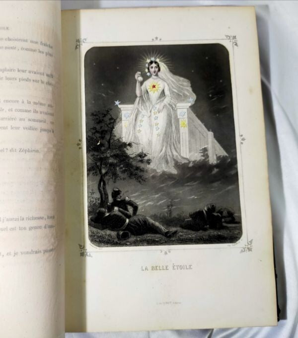 1849 J.J. Grandville Les Toiles 1St Edition Rare Hand-Colored Plates Leather