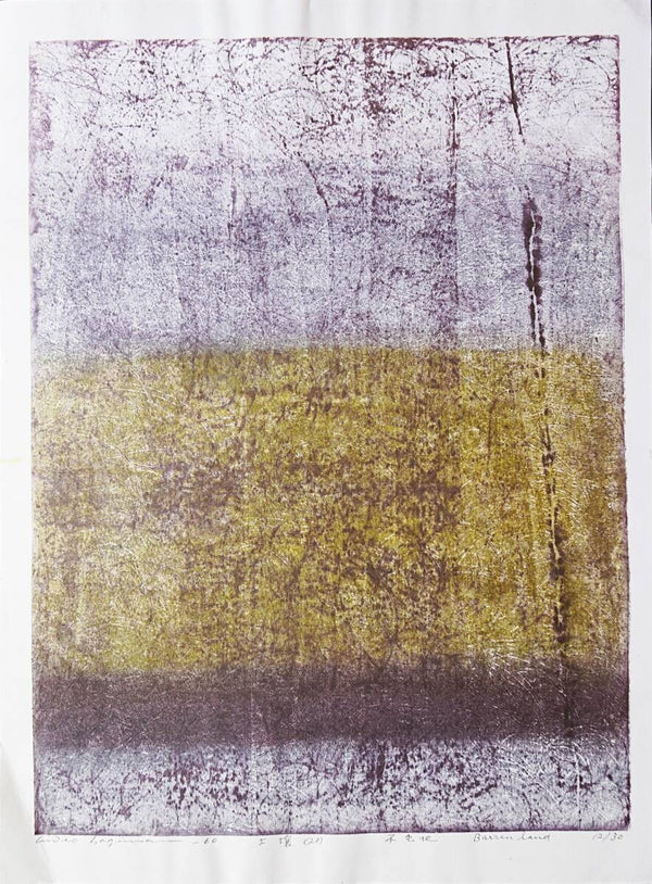 Vintage Hideo Hagiwara Soil No.20 Barren Land Woodblock Signed ED 12/ 30 Japanese