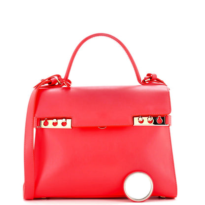 Delvaux Tempete Top Handle Bag Leather Gm