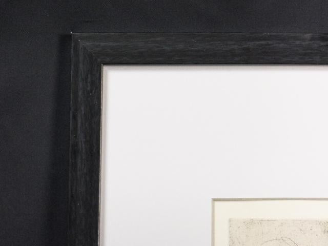 Veronika Paleckova "Peacock And Figure" Signed Etching Limited 30 Framed Art