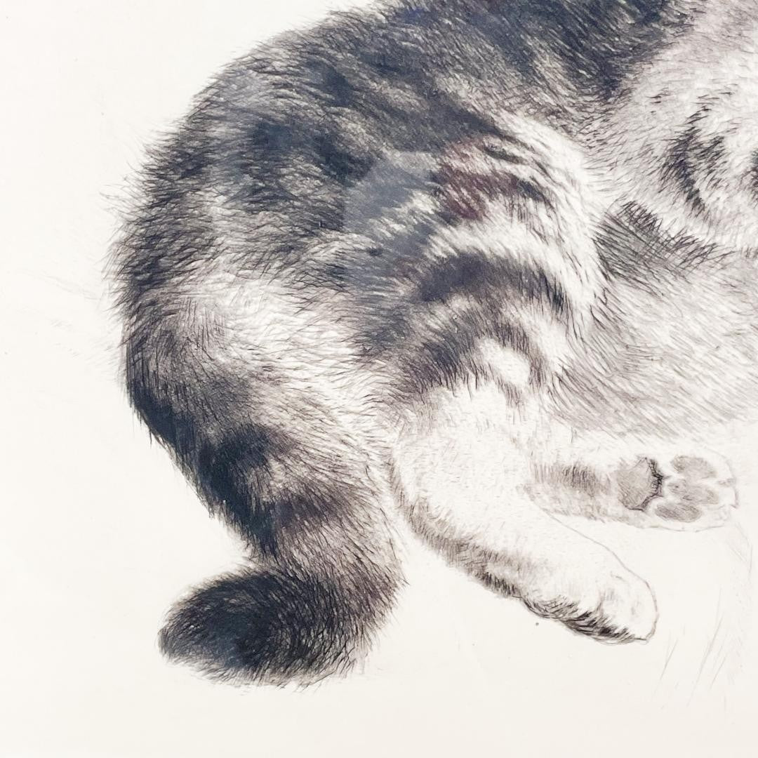 Kurt Meyer-Eberhardt Etching Cat Kitten Original Radierung Signed 4/97 Framed