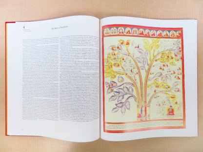 Tibetan Medical Paintings By Gyurme Dorje, 1992, 2 Volumes, Rare Complete Set