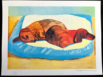 David Hockney - Lithograph Coa Signed Numbered By Hand Limited 180Ex
