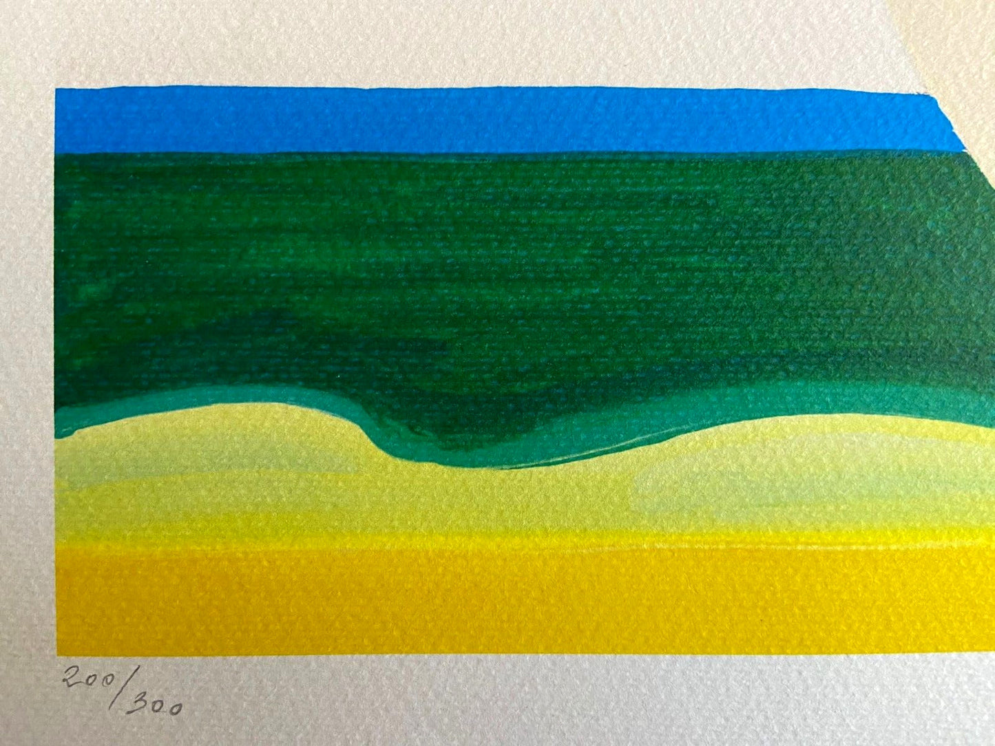 Tom Wesselmann Lithograph Coa Gagosian Signed Op Numbered By Hand