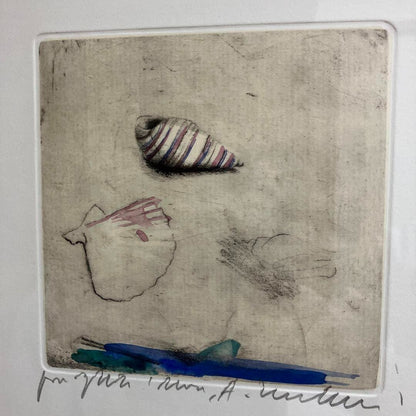 Alessandro Nocentini Original Etching Seashells