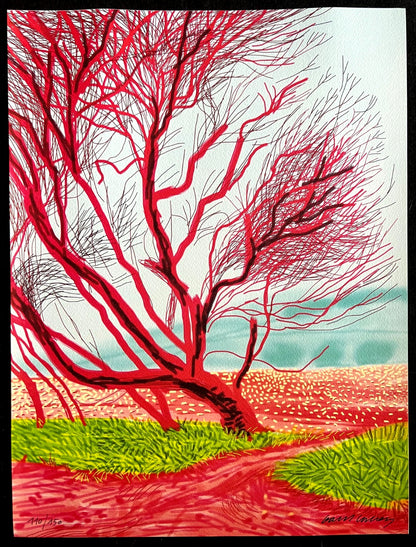 David Hockney Coa Lithograph Signed Op Hand Numbered Limited &^