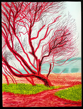 David Hockney Coa Lithograph Signed Op Hand Numbered Limited &^