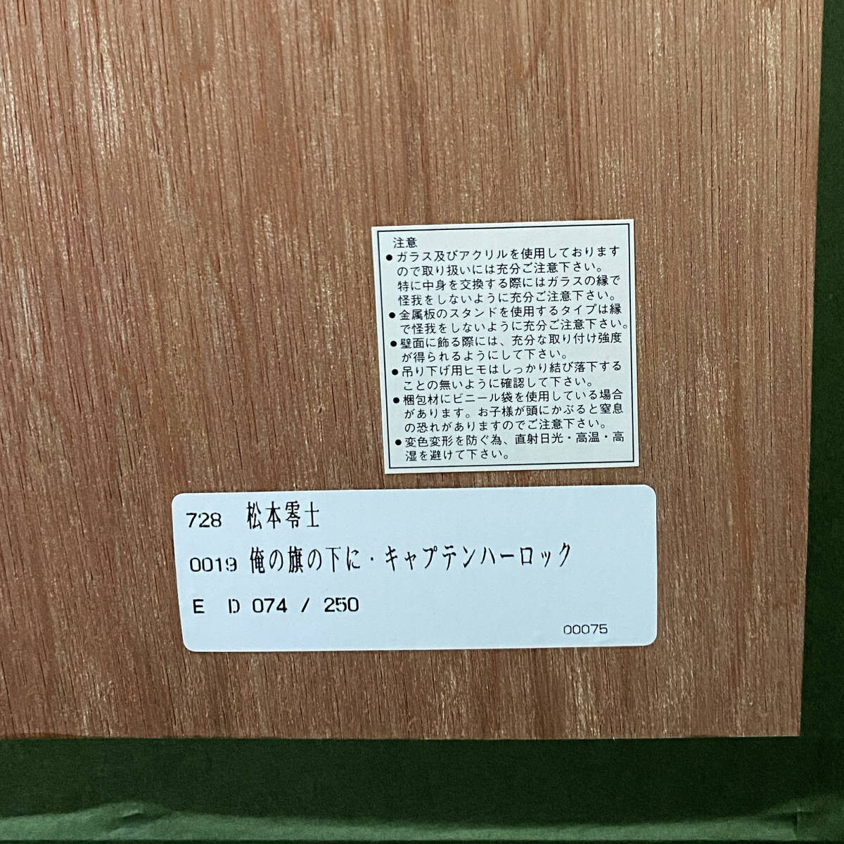 Captain Harlock My Youth In Arcadia Signed Original Silkscreen Print Framed