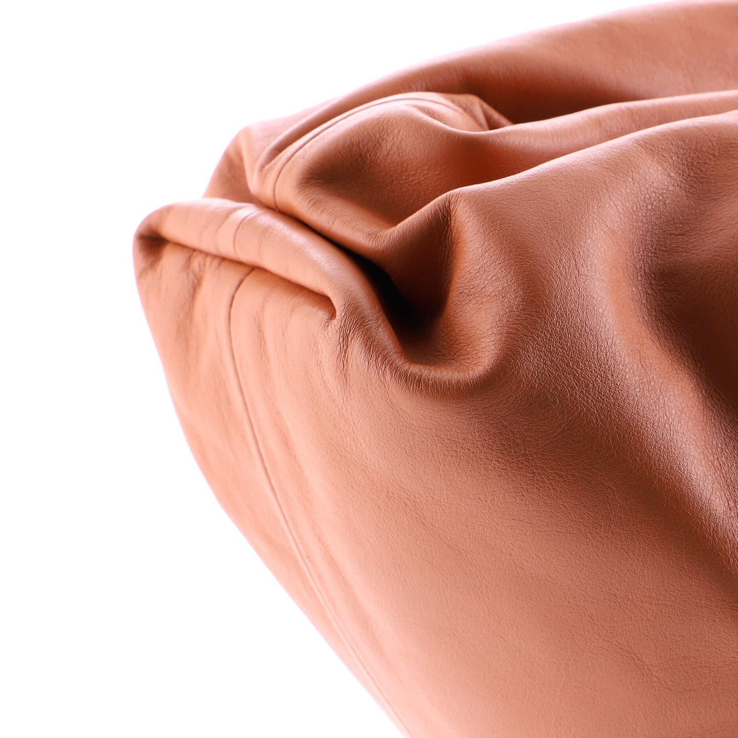 Bottega Veneta The Pouch Leather Teen