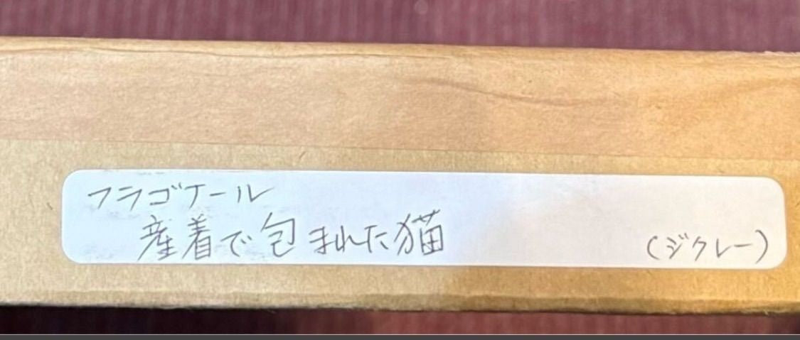 Jean-Honor Fragonard Cat Wrapped In Swaddling Clothes Gicle Print Framed