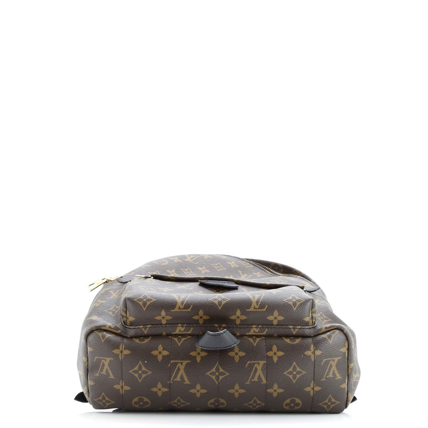 Louis Vuitton Palm Springs Backpack Monogram Canvas Mm