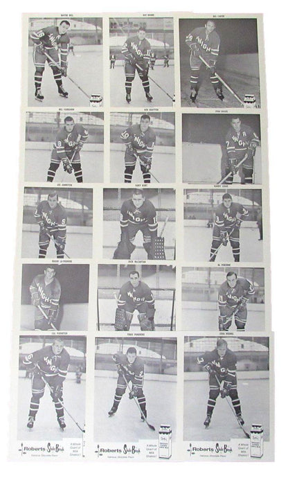 Omaha Knights Chl 33 1966-67 And 1967-68 Team