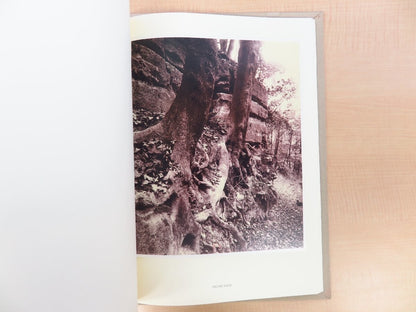 Eugene Atget'S Trees 2003 1St Edition Limited 982/1000 Large Format Photography