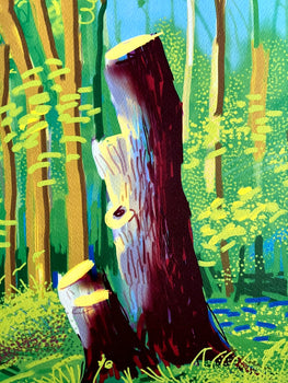 David Hockney Lithograph Coa Signed Op Numbered A