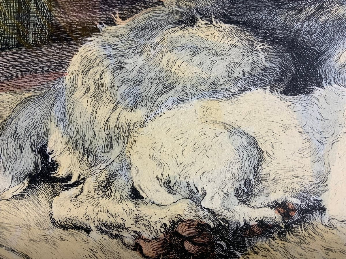 Herbert Dicksee Comrades 1928 Original Etching Frost & Reed Dogs Terrier Hound