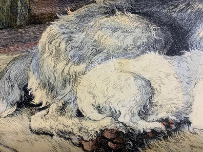 Herbert Dicksee Comrades 1928 Original Etching Frost & Reed Dogs Terrier Hound