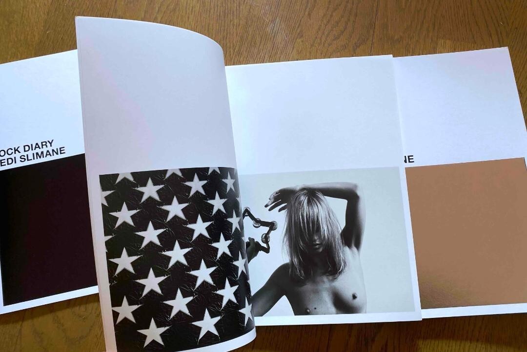 Saint Laurent Celine Box Rock Slimane Hedi Diary 2008 Photography