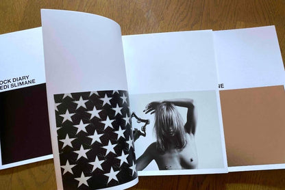 Saint Laurent Celine Box Rock Slimane Hedi Diary 2008 Photography