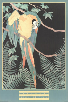 Dan Goad Macaw 