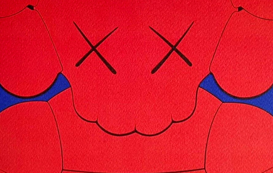 Kaws Lithograph Coa Mori Art Museum Limited Edition