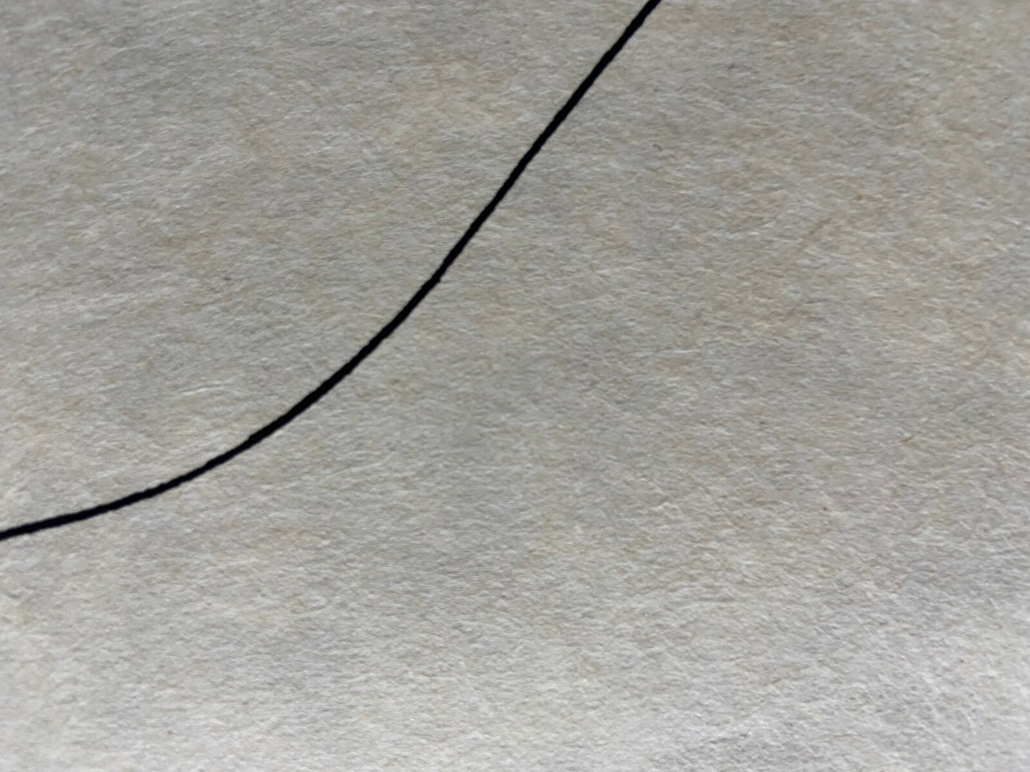 Henri Matisse Lithograph Hand Made Coa Signed Numbered Collection