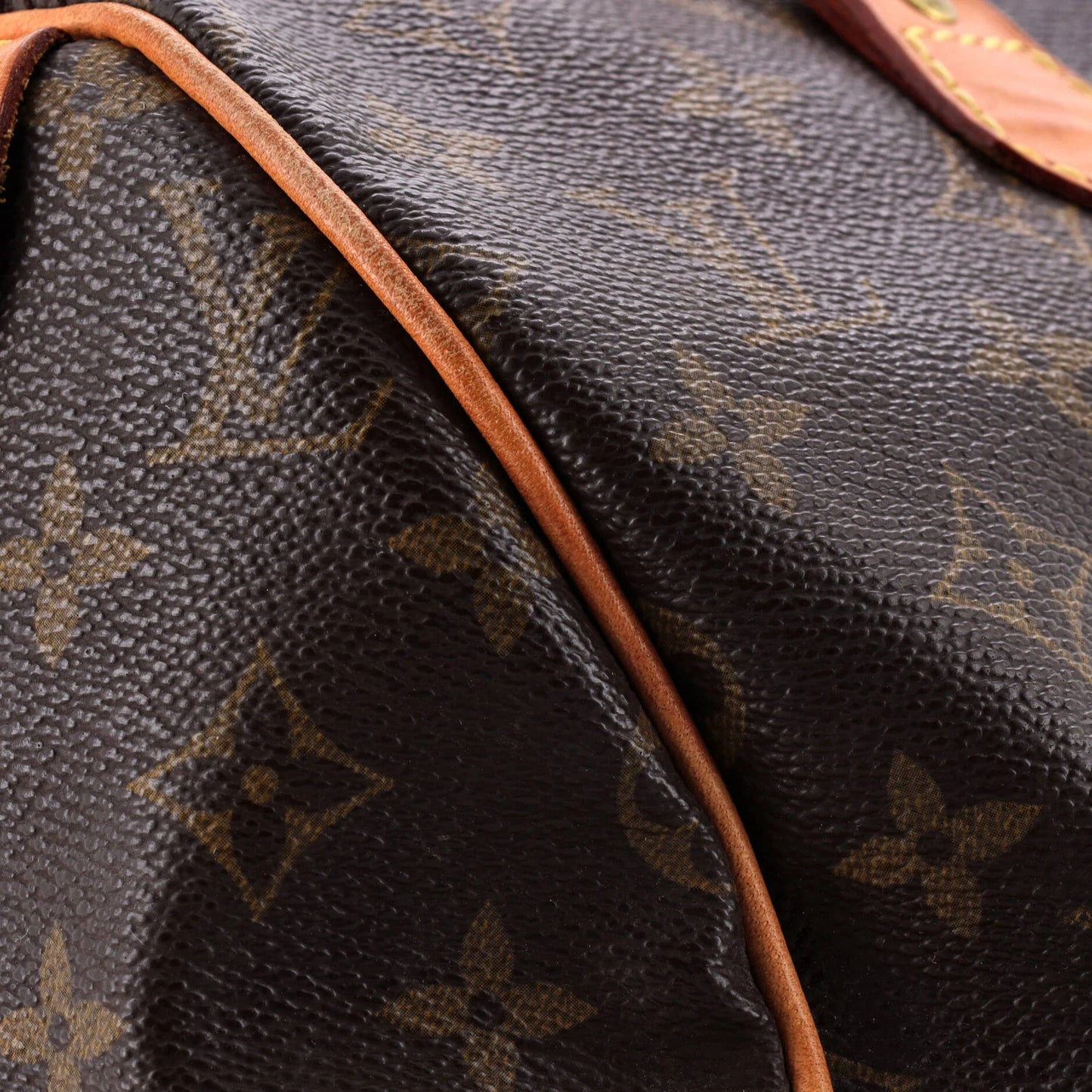 Louis Vuitton Speedy Handbag Monogram Canvas 30