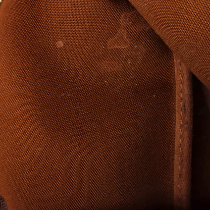 Louis Vuitton Pochette Accessoires Monogram Canvas