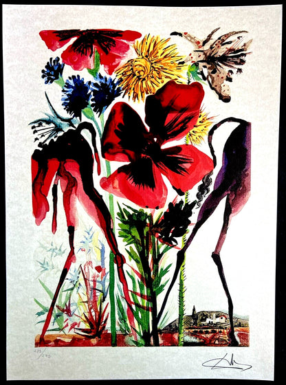 Salvador Dal Lithograph From An Drawing Coa Signed Op Rare