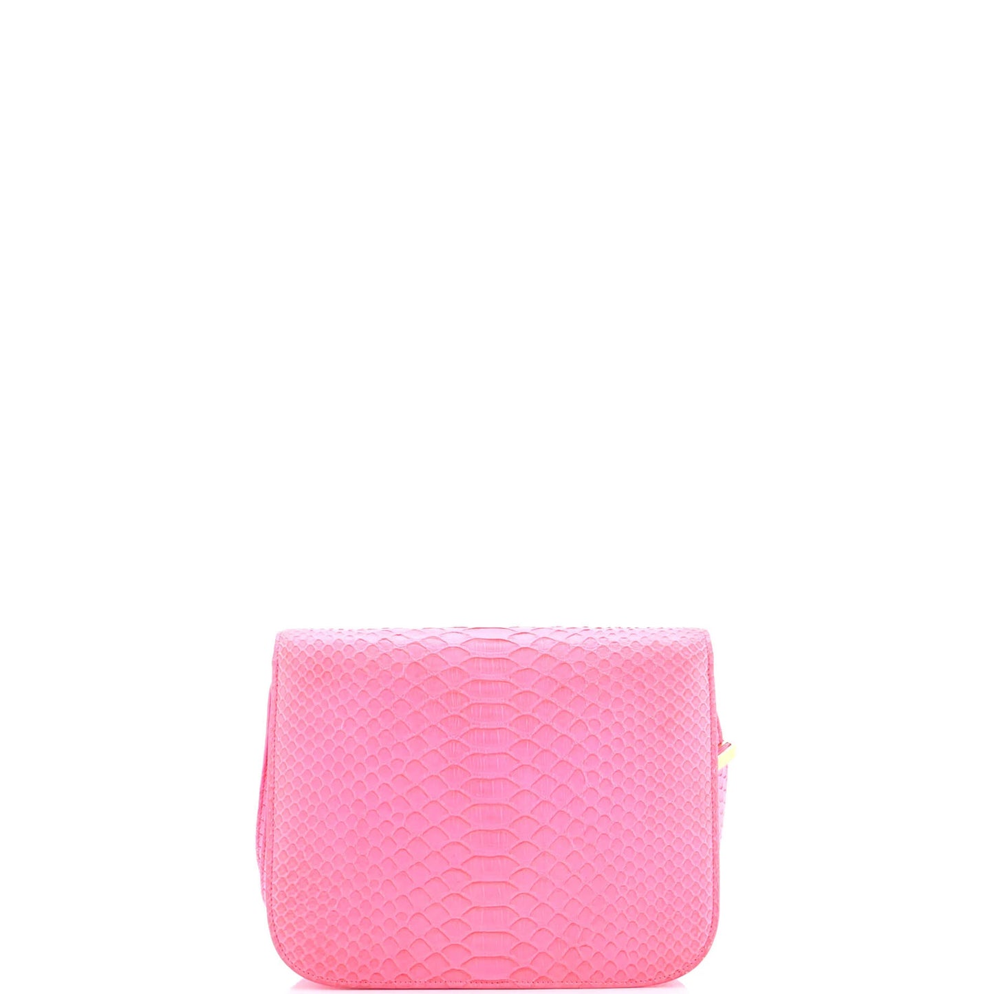 Celine Classic Box Bag Python Medium