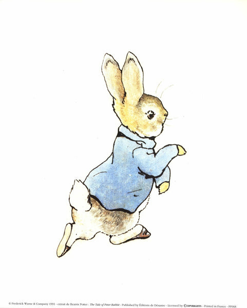 Beatrix Potter The Tale Of Peter Rabbit 