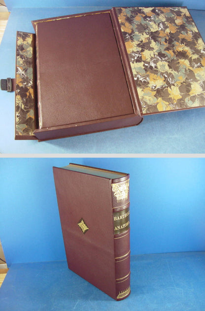 Rare 1976 Limited Edition Anatomia Reformata By Thomas Bartholin Facsimile