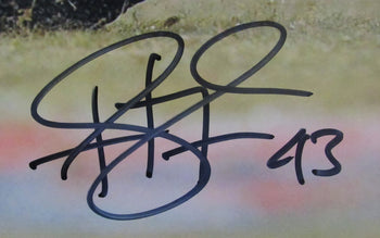 Troy Polamalu Signed/Autographed 16X20 Photo
