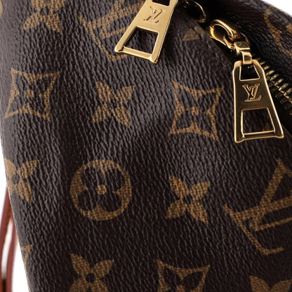 Louis Vuitton Bum Bag Monogram Canvas