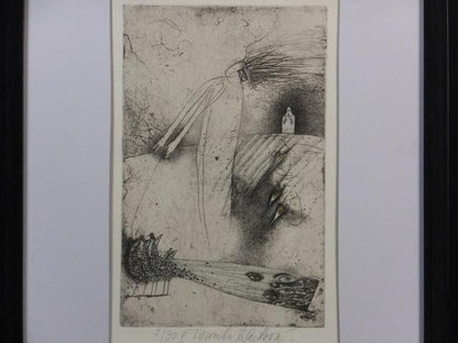 Veronika Paleckova "Peacock And Figure" Signed Etching Limited 30 Framed Art
