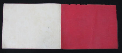 1926 Rose Bowl "Will To Win" Pictorial
