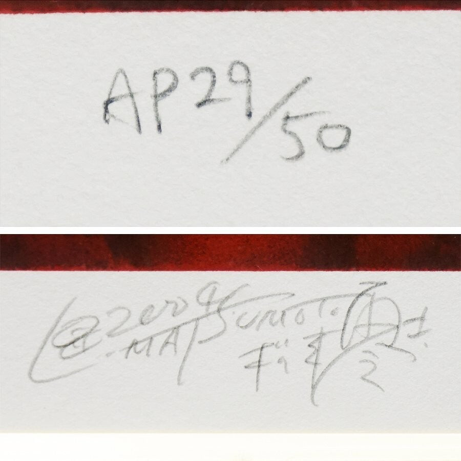 Captain Harlock : My Youth In Arcadia Signed Original Silkscreen Print Framed