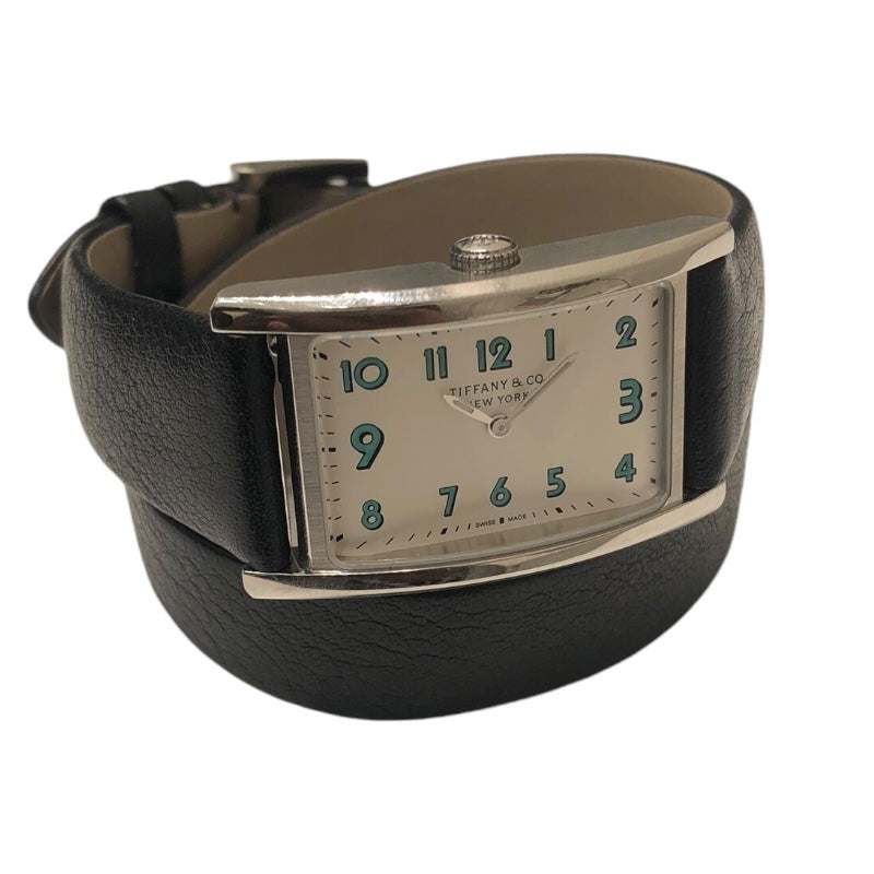 Tiffany&Co East West Mini 60557985