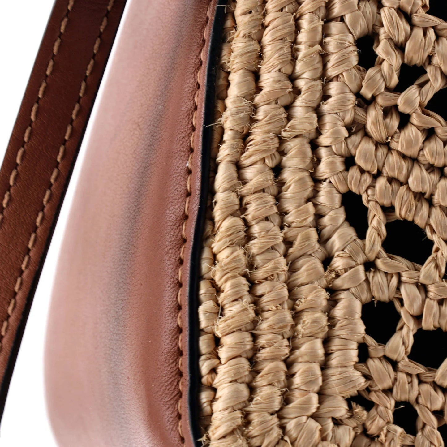 Loewe Hammock Hobo Raffia Mini