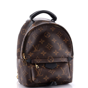 Louis Vuitton Palm Springs Backpack Monogram Canvas Mini