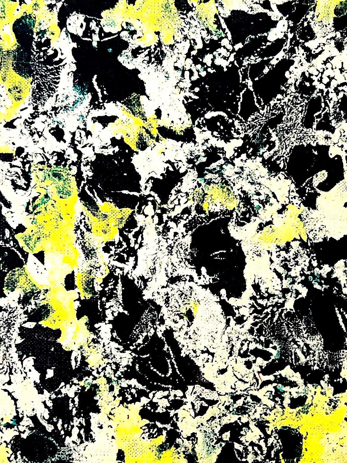 Jackson Pollock Action Painting Coa Signed Numbered By Hand. Eduardo Chillida