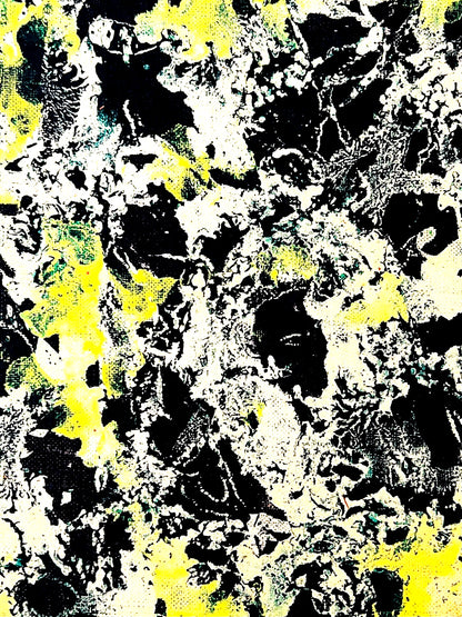 Jackson Pollock Action Painting Coa Signed Numbered By Hand. Eduardo Chillida