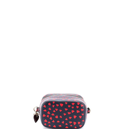 Christian Dior Lady Dior Vanity Case Printed Leather Micro