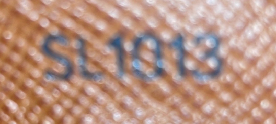 Louis Vuitton Danube Handbag Monogram Canvas