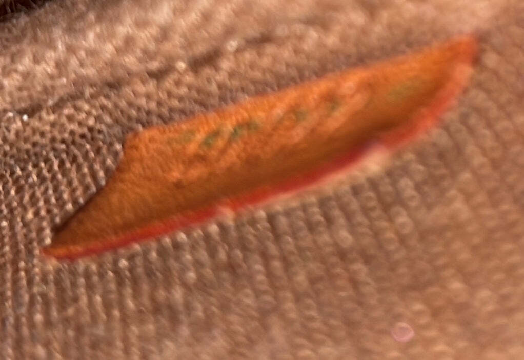 Louis Vuitton Pochette Accessoires Nm Monogram Canvas