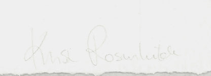 Krista Rosenkilde Technic Signed " Lithograph Abstract